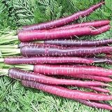 Photo David's Garden Seeds Carrot Cosmic Purple 1199 (Purple) 200 Non-GMO, Heirloom Seeds, best price $3.45, bestseller 2024