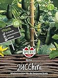 Foto Zucchini, Quine, Cucurbita pepo, bester Preis 4,56 €, Bestseller 2024