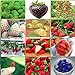 12 paquetes diferentes semillas de fresa (verde, blanco, negro, rojo, azul, gigante, Mini, Bonsai, rojo normal, Pineberry) E3508 nuevo 2024