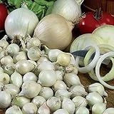 Photo Onion Sets Red,Yellow,White or Mix 40-70 bulbs) Garden Vegetable- Choose a color(Yellow), best price $6.35 ($0.12 / Count), bestseller 2024