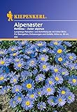 Foto Sperli Blumensamen Alpenaster hellblau, grün, bester Preis 1,86 €, Bestseller 2024