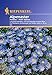 Sperli Blumensamen Alpenaster hellblau, grün neu 2023