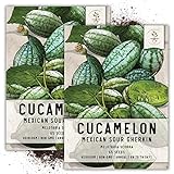 Photo Seed Needs, Cucamelon/Mexican Sour Gherkin (Melothria scobra) Twin Pack of 65 Seeds Each, best price $8.85 ($0.07 / Count), bestseller 2024