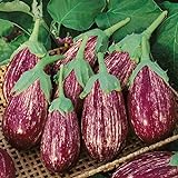 Photo David's Garden Seeds Eggplant Shooting Stars 1315 (Purple) 50 Non-GMO, Heirloom Seeds, best price $4.45, bestseller 2024