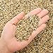 2.7 lb Coarse Sand Stone - Succulents and Cactus Bonsai DIY Projects Rocks, Decorative Gravel for Plants and Vases Fillers，Terrarium, Fairy Gardening, Natural Stone Top Dressing for Potted Plants. new 2022