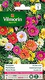 Photo Vilmorin 5633441 Pourpier à Grande Fleur Double varie, Multicolore, 90 x 2 x 160 cm, meilleur prix 2,50 € (11,90 € / kg), best-seller 2024