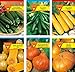 Frankonia-Samen/Samen-Sortiment / 3 Kürbissorten und 3 Zucchinisorten/Zucchini Black Beauty/Zuchini Partenon F1 neu 2023