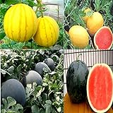 Photo Cozy Crib Multicolor Watermelon Mix About 20 Seeds, best price $5.99 ($0.30 / Count), bestseller 2024