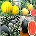 Cozy Crib Multicolor Watermelon Mix About 20 Seeds new 2024