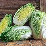 Photo 50+ Count Napa Michihili Heading Cabbage Seed, Heirloom, Non GMO Seed Tasty Healthy Veggie, best price $2.29 ($0.05 / Count), bestseller 2024