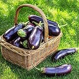 Photo 500+ Purple Aubergine Eggplant Seeds Non-GMO Vegetable, best price $10.99 ($0.02 / Count), bestseller 2024