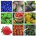 9kinds de semillas de la fresa, blanco, amarillo, azul, negro, rojo, verde, grandes fresas, subida, 900 semillas totales plants.bonsai jardín de la fruta nuevo 2024