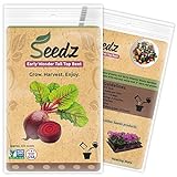 Photo Organic Beet Seeds, APPR. 225, Early Wonder Tall Top Beet, Heirloom Vegetable Seeds, Certified Organic, Non GMO, Non Hybrid, USA, best price $7.88, bestseller 2024