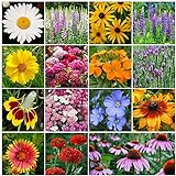 Photo All Perennial Wildflower Seed Mix - 1/4 Pound, Mixed, Attracts Pollinators, Attracts Hummingbirds, Easy to Grow & Maintain, best price $14.25, bestseller 2024
