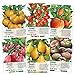 Multicolor Tomato Seed Packet Collection (6 Individual Packets) Non-GMO Seeds by Seed Needs new 2024