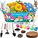 Little Planters Paint & Grow Fairy Garden with Real Flowers and Magical Fairies - Paint, Plant and Grow Morning Glory, Marigold and Alyssum Flowers - Craft Kit for Kids All Ages Both Girls and Boys new 2022