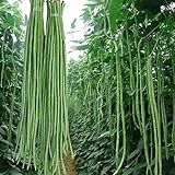 Photo 100 Pcs Snake/Yard-Long Asparagus Pole Bean Seeds Heirloom Non-GMO Seeds,for Growing Seeds in The Garden or Home Vegetable Garden, best price $7.99, bestseller 2024
