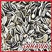 SAHAWA® Sonnenblumenkerne gestreift 25 kg, Vogelfutter, Winterfutter neu 2024