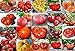 Mixed Seeds! 30 Giant Tomato Seeds, Mix of 19 Varieties, Heirloom Non-GMO, Brandywine Black, Red, Yellow & Pink, Mr. Stripey, Old German, Black Krim, from USA new 2024