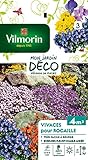 Photo Vilmorin 5860943 Pack de Graines Fleur Vivace pour Rocaille, meilleur prix 7,16 €, best-seller 2024