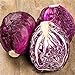 RattleFree Cabbage Seeds for Planting | Heirloom & Non-GMO | 500 Red Acre Cabbage Vegetable Seeds for Planting Home Gardens | Growing Instructions Included on Planting Packets new 2022