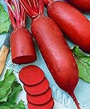 Photo Seeds4planting - Seeds Beet Rival Red Giant Heirloom Vegetable Non GMO, best price $6.94, bestseller 2024