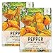 Seed Needs, Jamaican Yellow Pepper Seeds (Capsicum annuum) Twin Pack of 100 Seeds Each Non-GMO new 2024