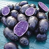Photo Simply Seed - Purple Majesty - Naturally Grown Seed Potatoes - 5 LB- Ready for Spring Planting, best price $14.99 ($0.19 / Ounce), bestseller 2024