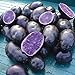 Simply Seed - Purple Majesty - Naturally Grown Seed Potatoes - 5 LB- Ready for Spring Planting new 2022