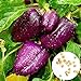 30 teile/beutel Paprika samen mit hoher Keimrate leicht zu wachsen und schön lila süße Laternen pfeffer samen für den Garten zu Hause zu behandeln Bell Pepper Seeds. Einheitsgröße neu 2023
