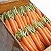 David's Garden Seeds Carrot Napoli 1122 (Orange) 200 Non-GMO, Hybrid Seeds new 2024