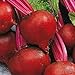 Bulk Organic Detroit Dark Red Beet Seeds Non GMO (1 Lb) new 2024