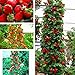Semillas Ecológicas Minigarden 50 piezas semillas de fresa roja fruta casera decoración en maceta plantas trepadoras-1 # nuevo 2024