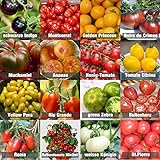 Photo Set de graines de tomates PRADEMIR – 16 variétés de tomates - Graines 100% naturelles du Portugal - Variétés rares et anciennes à haut taux de germination., meilleur prix 7,99 €, best-seller 2024