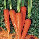 Photo Carrot Seeds - Moonraker Pelleted - 10,000 Seeds, best price $20.99 ($0.00 / Count), bestseller 2024
