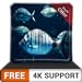 Free Rush Aquarium HD - Mob von großen Fischen im Aquarium auf Ihrem HDR 4K-Fernseher, 8K-Fernseher und Feuergeräten als Hintergrundbild, Dekoration für die Weihnachtsferien, Thema für Vermittlung und neu 2024
