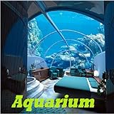 Foto Aquarium, bester Preis 0,92 €, Bestseller 2024