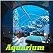 Aquarium new 2024
