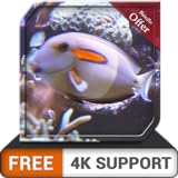 Foto free deep fish tank HD - dekorieren Sie Ihr Zimmer mit einem wunderschönen Live-Aquarium auf Ihrem HDR 4K-Fernseher, 8K-Fernseher und Feuergeräten als Hintergrundbild, Dekoration für die Weihnachtsfer, bester Preis 0,00 €, Bestseller 2024