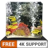 Photo aquarium paisible HD gratuit - décorez votre chambre avec un magnifique aquarium de vie marine sur votre téléviseur HDR 4K, votre téléviseur 8K et vos appareils à feu comme fond d'écran, décoration po, meilleur prix 0,00 €, best-seller 2024
