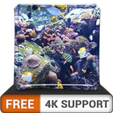 Photo aquarium HD de beauté aquatique gratuit - décorez votre chambre avec un magnifique aquarium de vie marine sur votre téléviseur HDR 4K 8K et des dispositifs d'incendie comme fond d'écran, décoration po, meilleur prix 0,00 €, best-seller 2024