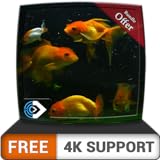 Photo FREE Beautiful Aquarium HD - Decorate your room with beautiful Aquarium on your HDR 4K TV, 8K TV and Fire Devices as a wallpaper, Decoration for Christmas Holidays, Theme for Mediation & Peace, best price $0.00, bestseller 2024