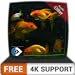 free beautiful aquarium HD - dekorieren Sie Ihr Zimmer mit einem wunderschönen Aquarium auf Ihrem HDR 4K-Fernseher, 8K-Fernseher und Feuergeräten als Hintergrundbild, Dekoration für die Weihnachtsferi neu 2024