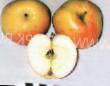 Jabłka  Polivitaminnoe gatunek zdjęcie