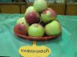Äpplen sorter Rodnikovaya Fil och egenskaper