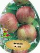 Μήλα ποικιλίες Uehlsi φωτογραφία και χαρακτηριστικά
