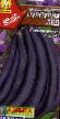 Фасул сортове Пурпурная леди снимка и характеристики