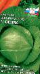 Cabbage varieties Dyuma F1 Photo and characteristics