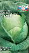 Cabbage varieties Zalp F1 Photo and characteristics