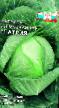 Cabbage varieties Atriya F1 Photo and characteristics